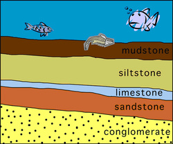 How are sedimentary rocks made?